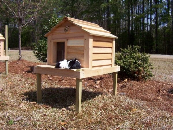 20" Cat House with optional platform and loft
