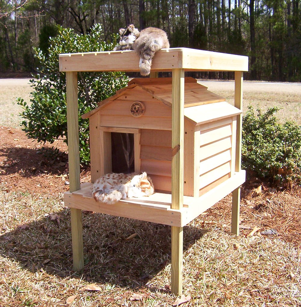 dog and cat house