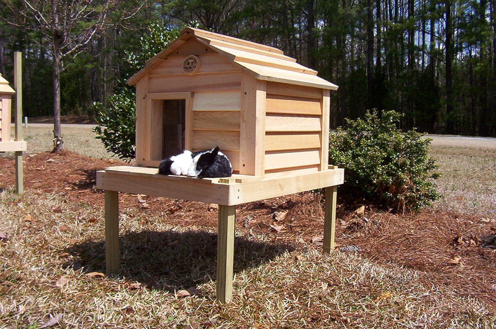 dog and cat house