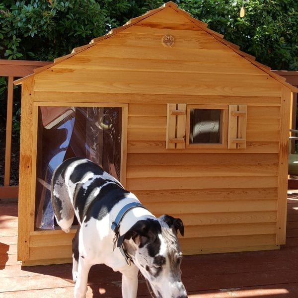 Giant dog house