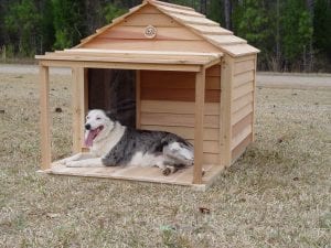 Large dog house with porch & deck