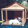 Cody in his dog house