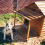 Klondike the Alaskan Malamute in his dog house